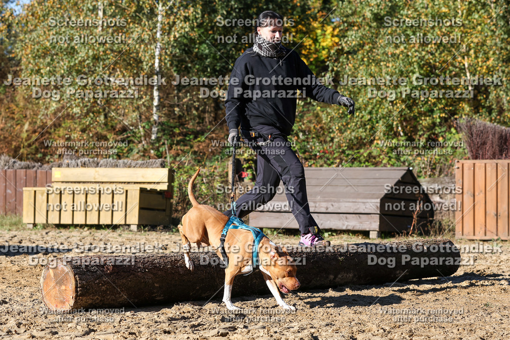 Dog Paparazzi - Strongdog 10-25-2086 | Dog Paparazzi Jeanette Grottendiek Fotografie & Videografie - Realisiert mit Pictrs.com