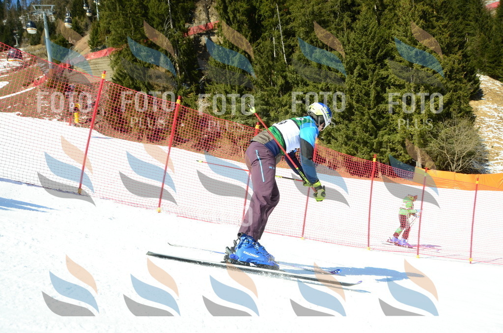 C7007 | holidayphoto