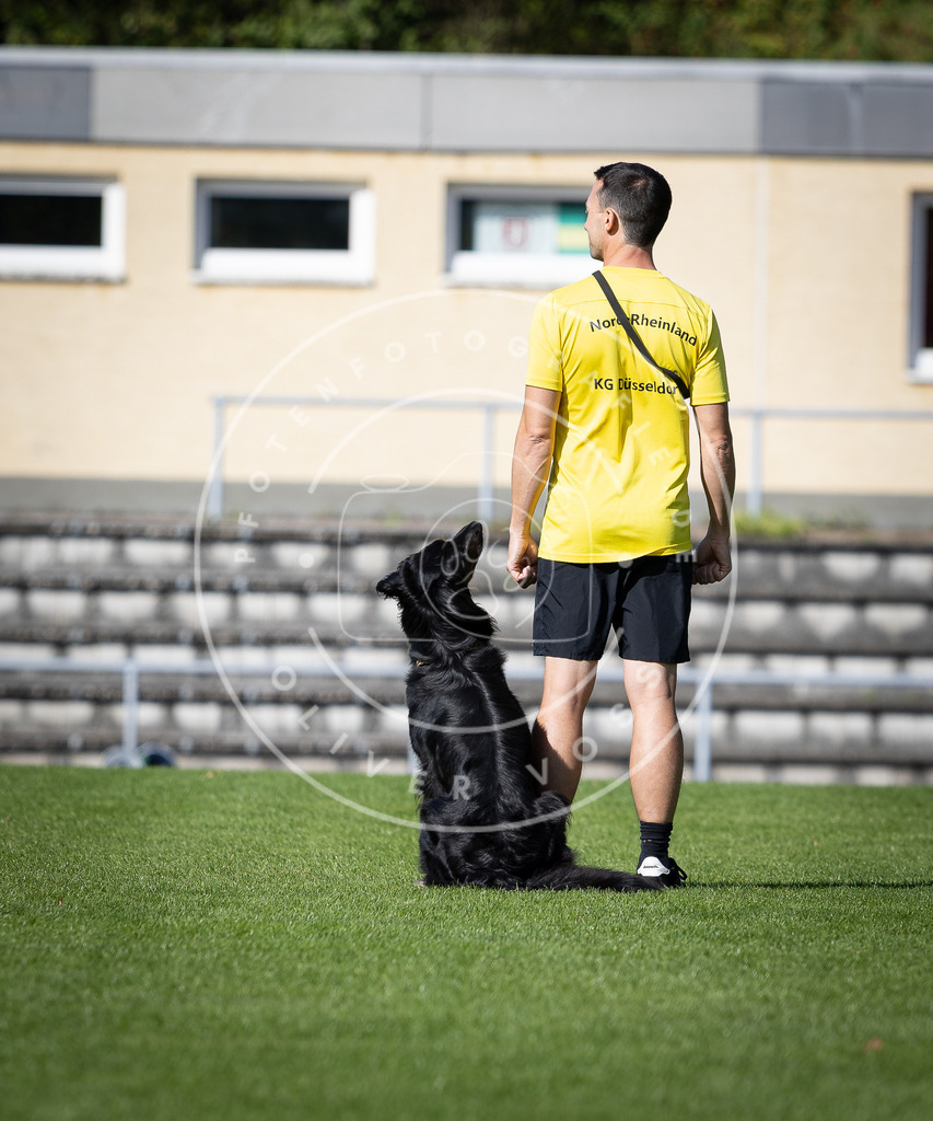 Pfotenfotografie_DV3A4932 | Hundefotografie, Tierfotograf, Pfotenfotografie, Fotoshooting Hund, Hunde Portrait, Hundesport, Hundeportraits, Heideshooting, Hunde, Sportfotograf, Hundefotograf, Turnierhundsport, THS,  - Realisiert mit Pictrs.com