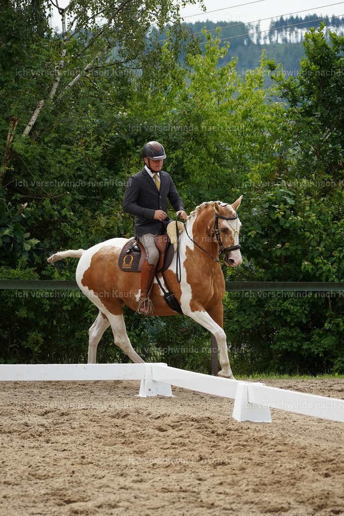 KlasseS_Lucie558 | working equitationturnier fotograf videograf stoibphotography marixx film working equitation deutschland reitsport turnierfotografie eventfotografie equestrian events