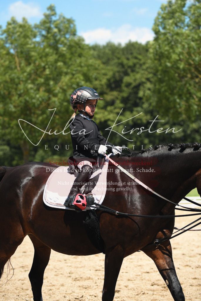 DSC_1998 | Pferde- und Turnierfotografie in Westsachsen. Pferdeportraits, Auftragszeichnungen und intuitive Kunst.