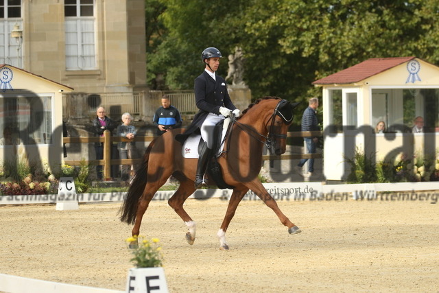Ludwigsburg_2022_Prfg.Nr02_FEI Intermediaire I_Benjamin Werndl_Discover 7 (3) | Alle Fotos der Reiterjournal Fotografin Doris Matthaes im Reiterjournal Online-Fotoshop. - Realisiert mit Pictrs.com