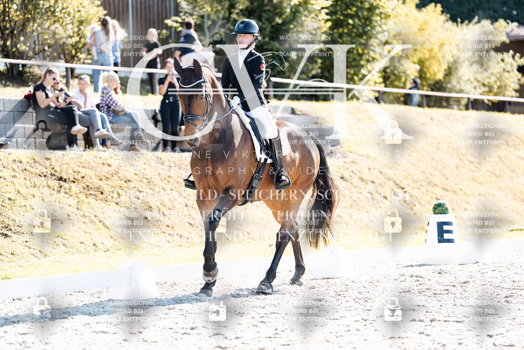 CK905757 | Turnierfotografie Pferdefotografie Trier Rheinland-Pfalz Pferdesport Reitsport Tierfotografie Sportfotografie Pferdevideo Pferdevideografie Equestrianvideography equestrianphotography  - Realisiert mit Pictrs.com