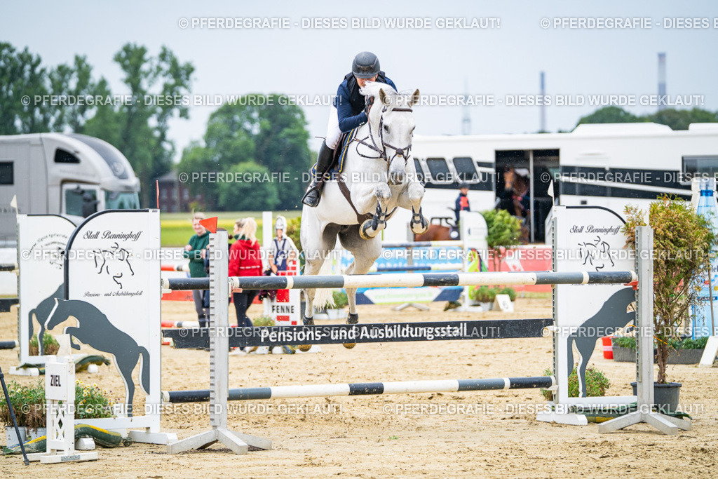 DSC07020 | Pferdegrafie