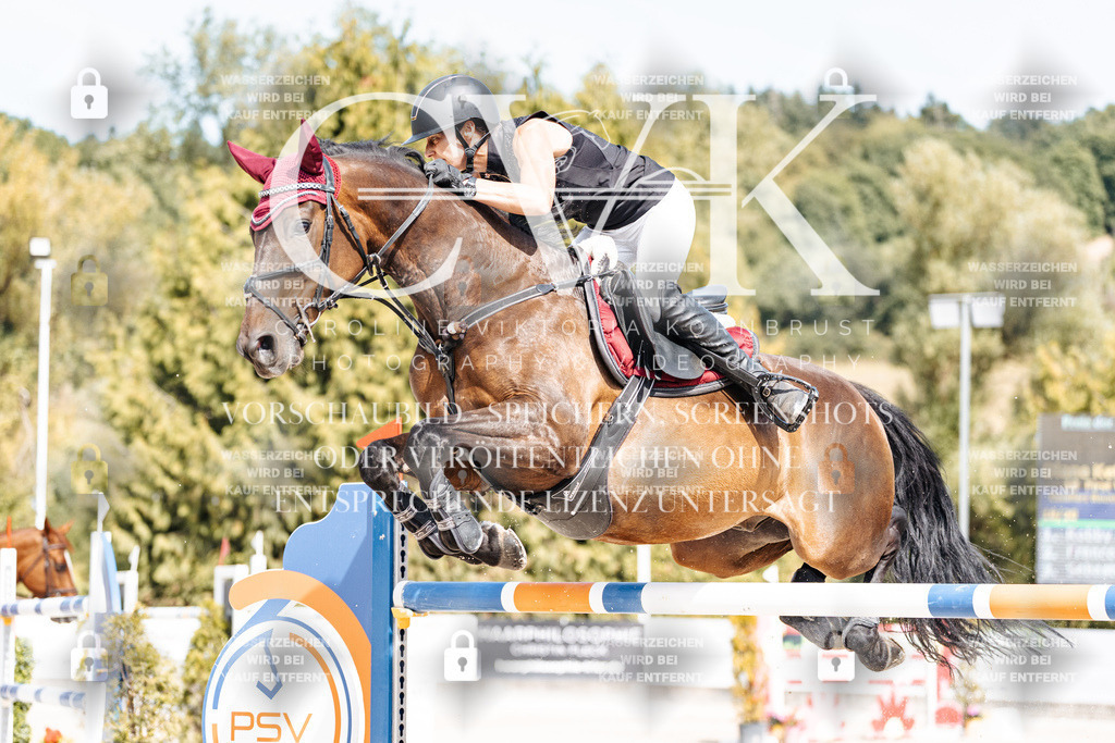 CK905327 | Turnierfotografie Pferdefotografie Trier Rheinland-Pfalz Pferdesport Reitsport Tierfotografie Sportfotografie Pferdevideo Pferdevideografie Equestrianvideography equestrianphotography  - Realisiert mit Pictrs.com