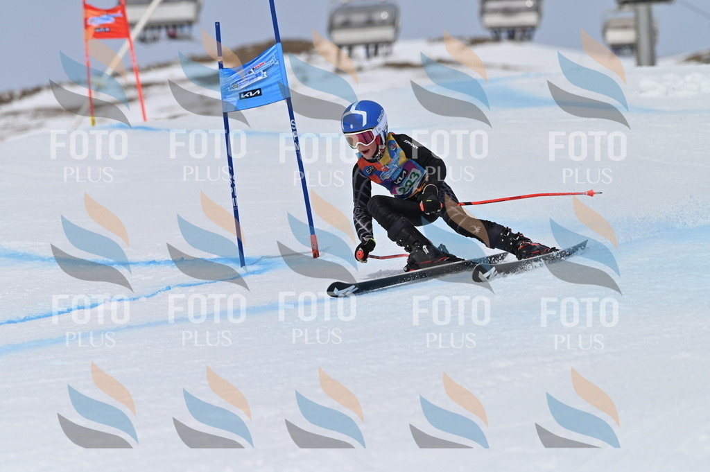 BGV_4385 | holidayphoto