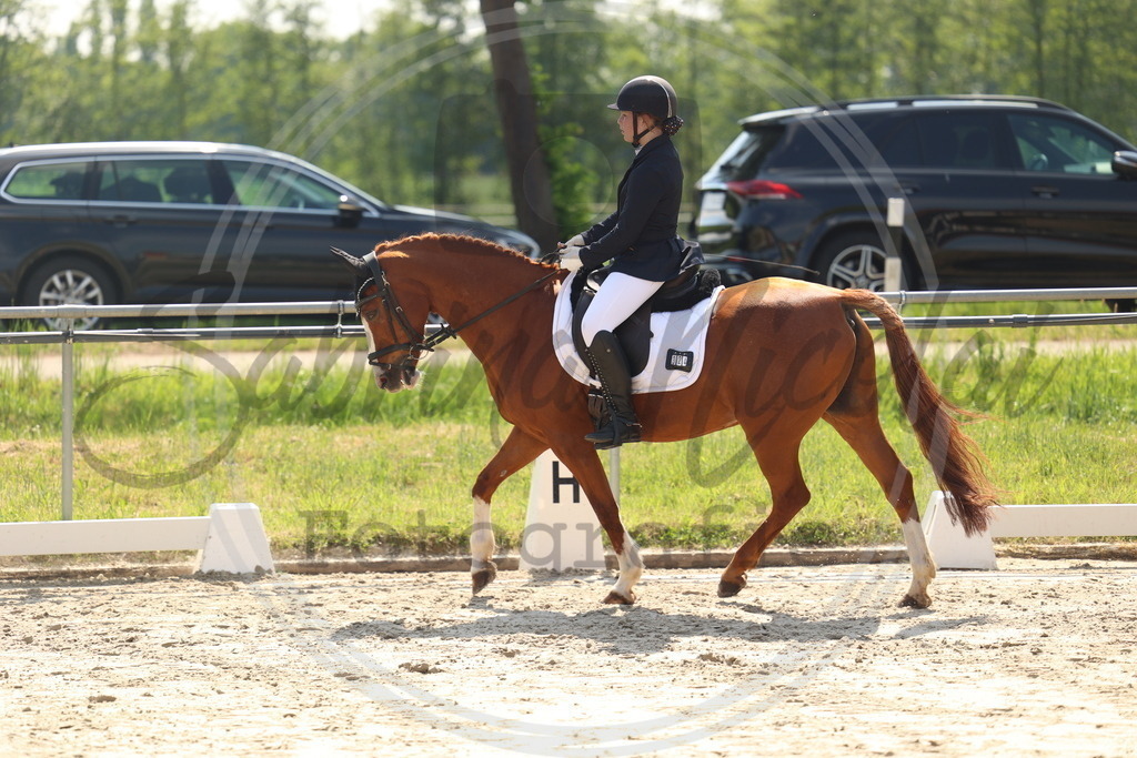 994A7300 | sabrinanicolaifotografie - Realisiert mit Pictrs.com