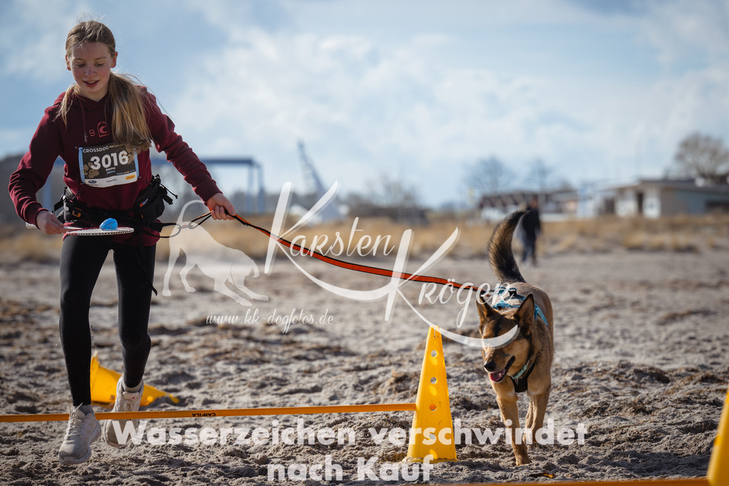 1259_ZZ99776 | kk-dogfotos