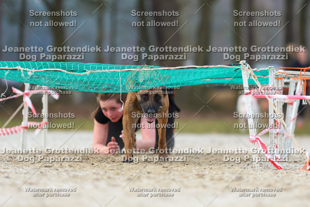 Dog Paparazzi - Strongdog North Mrz26-3778 | Dog Paparazzi Jeanette Grottendiek Fotografie & Videografie - Realisiert mit Pictrs.com