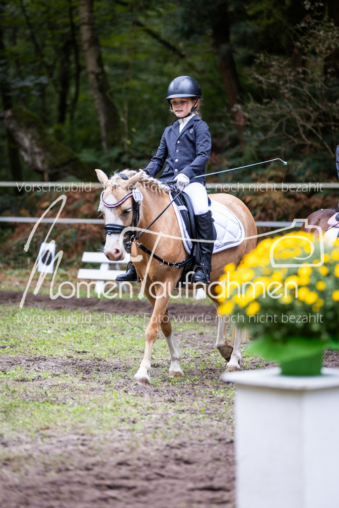 HB-Reiter-WB-048 | MomenTaufnahmen Pferdesportfotos