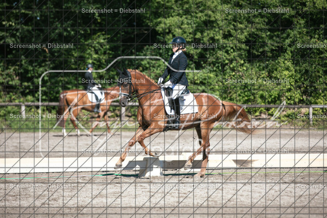 _W6A6553 | ronjaprokoschfotografie - Realisiert mit Pictrs.com