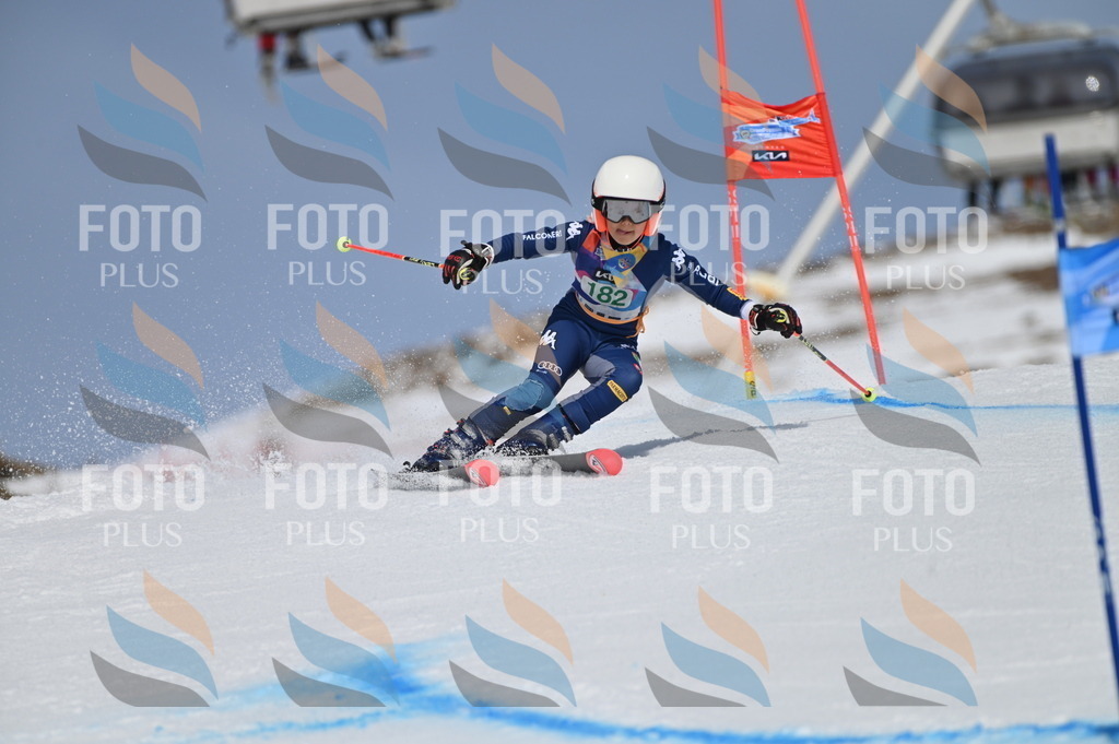 BGV_3564 | holidayphoto