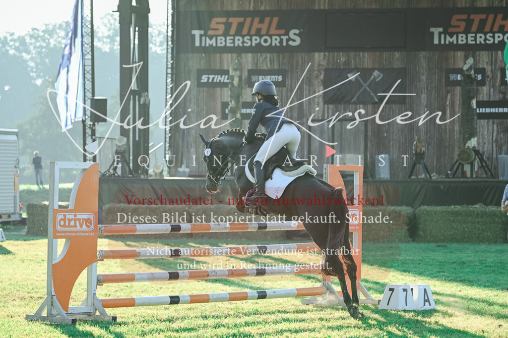 DSC_4085 | Pferde- und Turnierfotografie in Westsachsen. Pferdeportraits, Auftragszeichnungen und intuitive Kunst.
