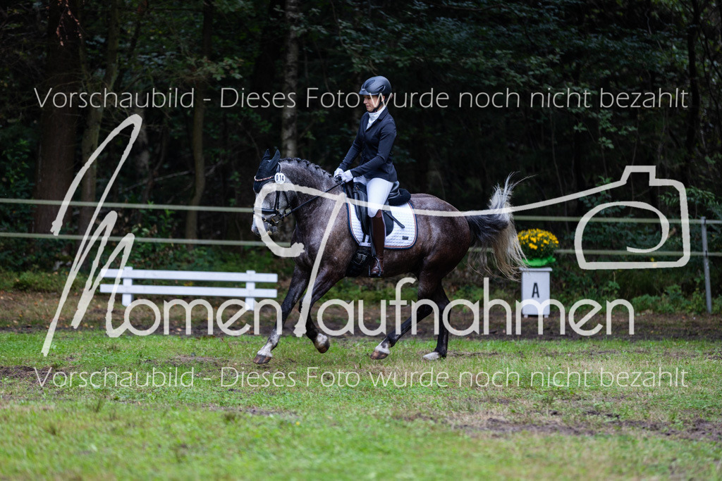 HB-A-Dressur-075 | MomenTaufnahmen Pferdesportfotos