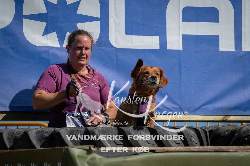 1123_ZZ91511 | kk-dogfotos