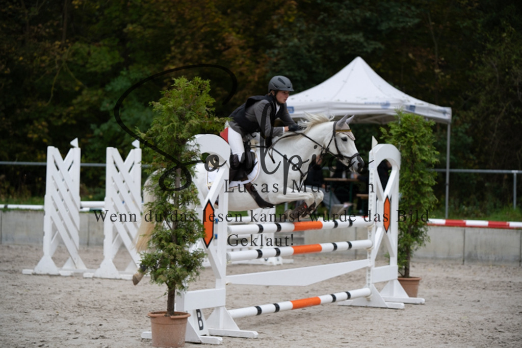 A7V00117 | Turnier/Reitfotograf