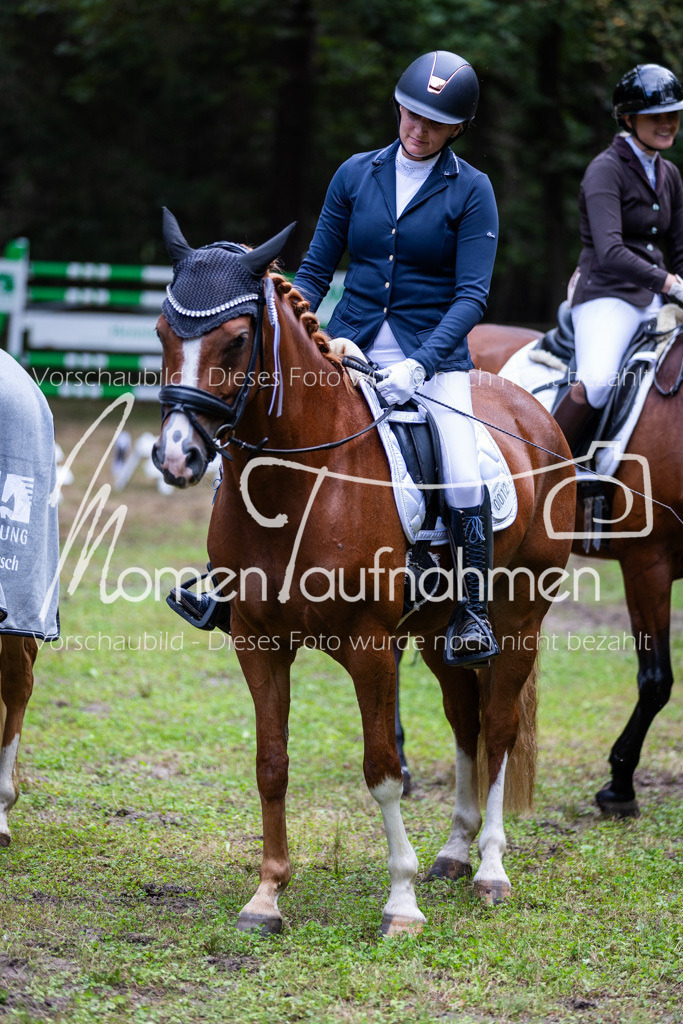 HB-A-Dressur-173 | MomenTaufnahmen Pferdesportfotos