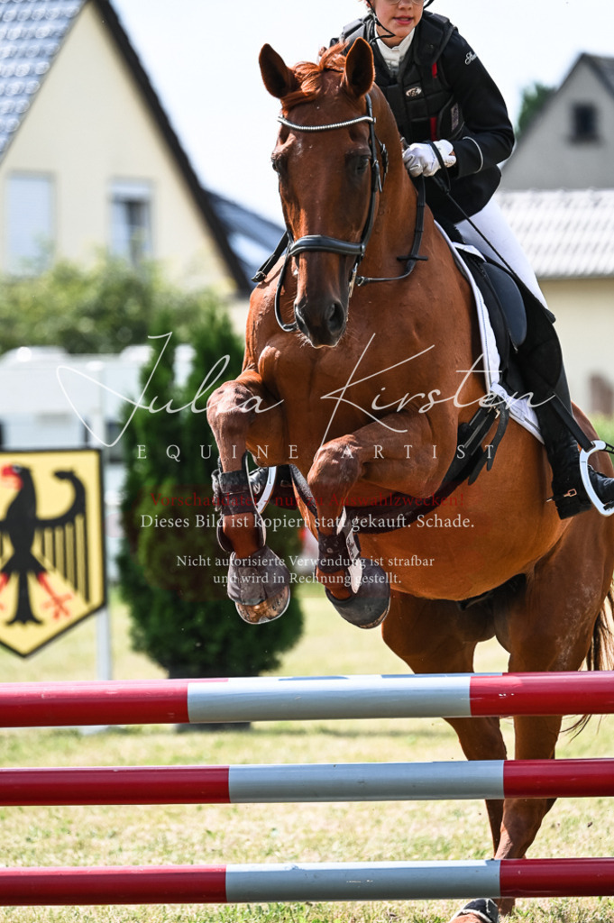 DSC_8997 | Pferde- und Turnierfotografie in Westsachsen. Pferdeportraits, Auftragszeichnungen und intuitive Kunst.