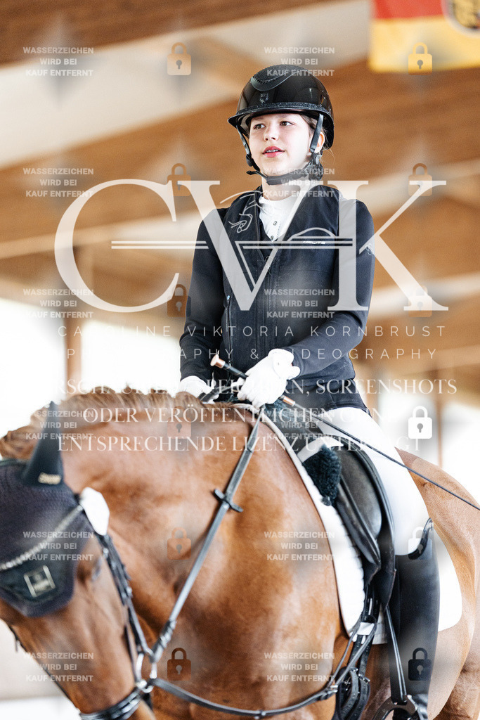 CK900665 | Turnierfotografie Pferdefotografie Trier Rheinland-Pfalz Pferdesport Reitsport Tierfotografie Sportfotografie Pferdevideo Pferdevideografie Equestrianvideography equestrianphotography  - Realisiert mit Pictrs.com