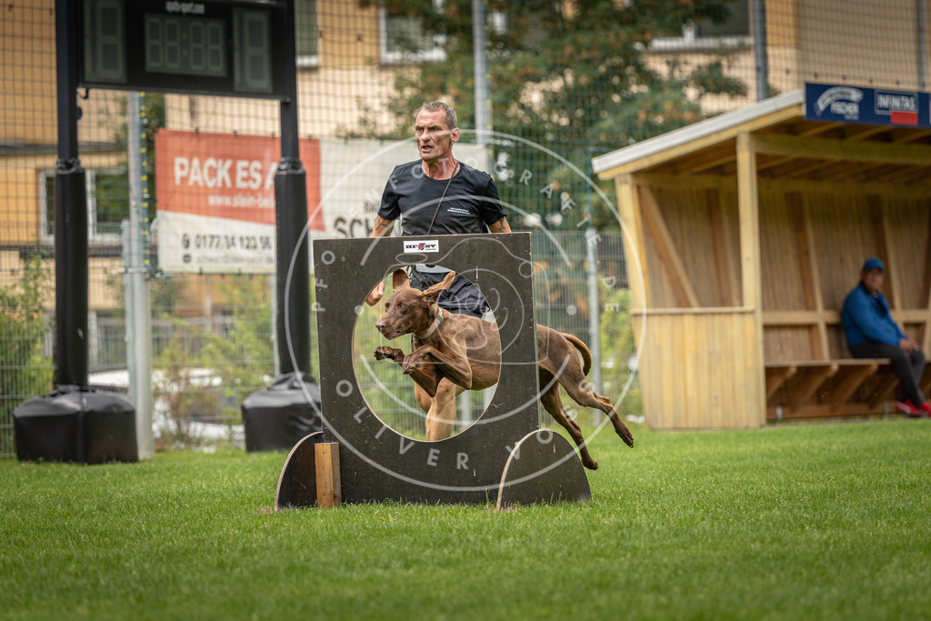 Pfotenfotografie_DV3A8929 | Hundefotografie, Tierfotograf, Pfotenfotografie, Fotoshooting Hund, Hunde Portrait, Hundesport, Hundeportraits, Heideshooting, Hunde, Sportfotograf, Hundefotograf, Turnierhundsport, THS,  - Realisiert mit Pictrs.com