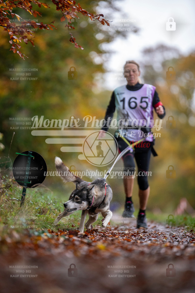 DBT_DAKM_SA_4_11_2023_Canicross-118 | PayLife