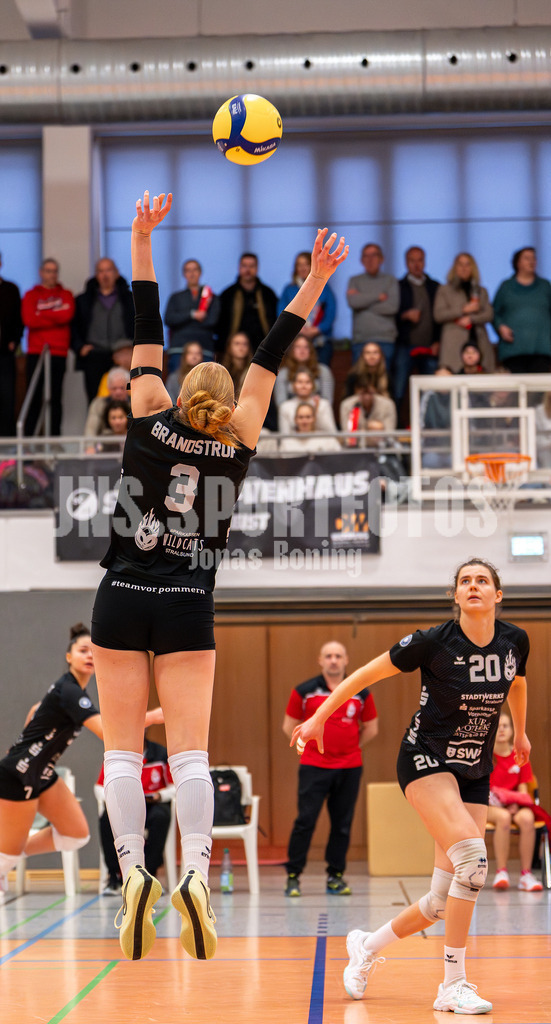 Volleyball I Frauen I Saison 2025-2026 I 2 Bundesliga Pro I 17. Spieltag VFL Oythe - VC Stralsund I 1615 | Vorgelegt durch Gesa Brandstrup (3,VC Stralsund) - Realisiert mit Pictrs.com