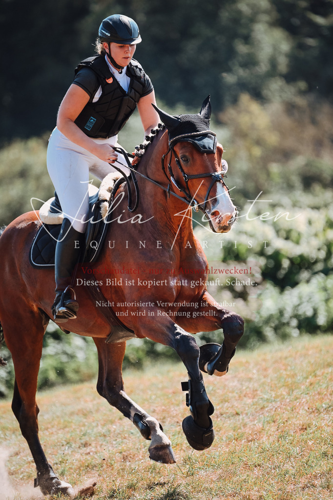 DSC_8140 | Pferde- und Turnierfotografie in Westsachsen. Pferdeportraits, Auftragszeichnungen und intuitive Kunst.