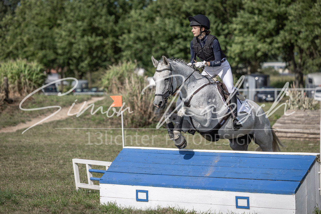 20250907-_3LI9614 | Tierfotografie Pferde, Hunde, Katzen, Haustiere.
Turnierfotografie Reitturniere, Reiten, Springreiten, Dressur in Hanau, dem Main-Kinzig-Kreis und dem Rhein-Main- Gebiet um Frankfurt