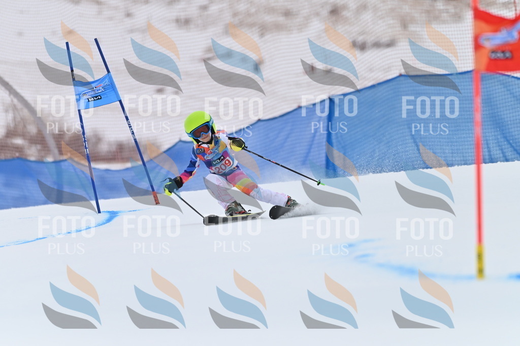 BGV_2352 | holidayphoto