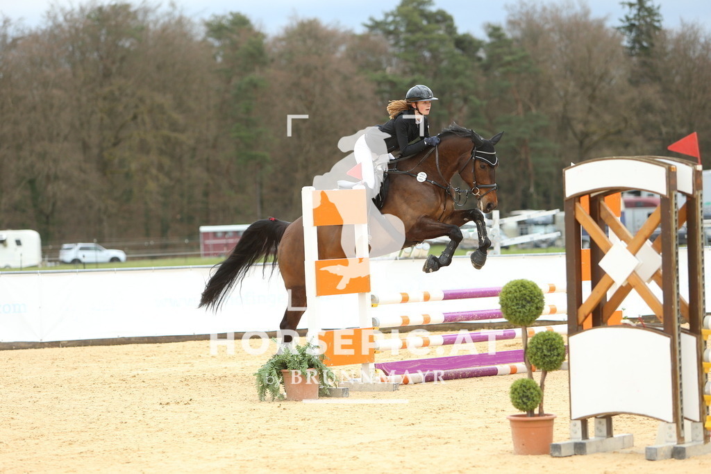 DL2Q2097 | Willkommen bei Brunnmayr - Design & Fotografie – Ihrem Spezialisten für Reitturniere und Pferdeveranstaltungen in Oberösterreich, Salzburg und Bayern! Seit über 17 Jahren sind wir leidenschaftlich dabei.