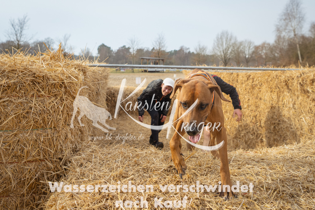 1025_ZZ95117 | kk-dogfotos