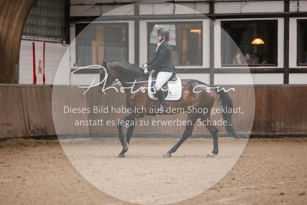 3I6A7084 | Stimmungsvolle Portraits und Reitsportfotografie im Ruhrgebiet und im Münsterland.

Pferdefotografie, Hundefotografie, Tierfotografie, Reportagen, Portraits von Tier und Mensch, Turnierfotografie in Bochum, Recklinghausen, Marl, Haltern am See, Dülmen.. - Realisiert mit Pictrs.com