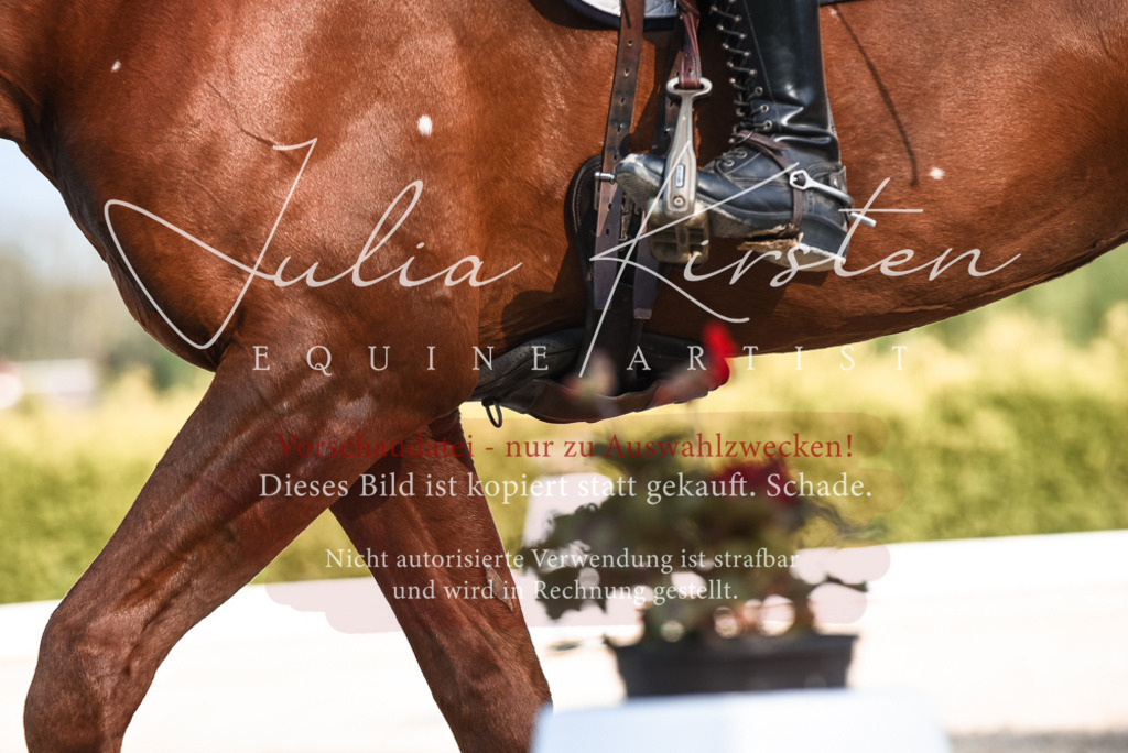 20230518_JK-Röhrsdorf-12-1181 | Pferde- und Turnierfotografie in Westsachsen. Pferdeportraits, Auftragszeichnungen und intuitive Kunst.