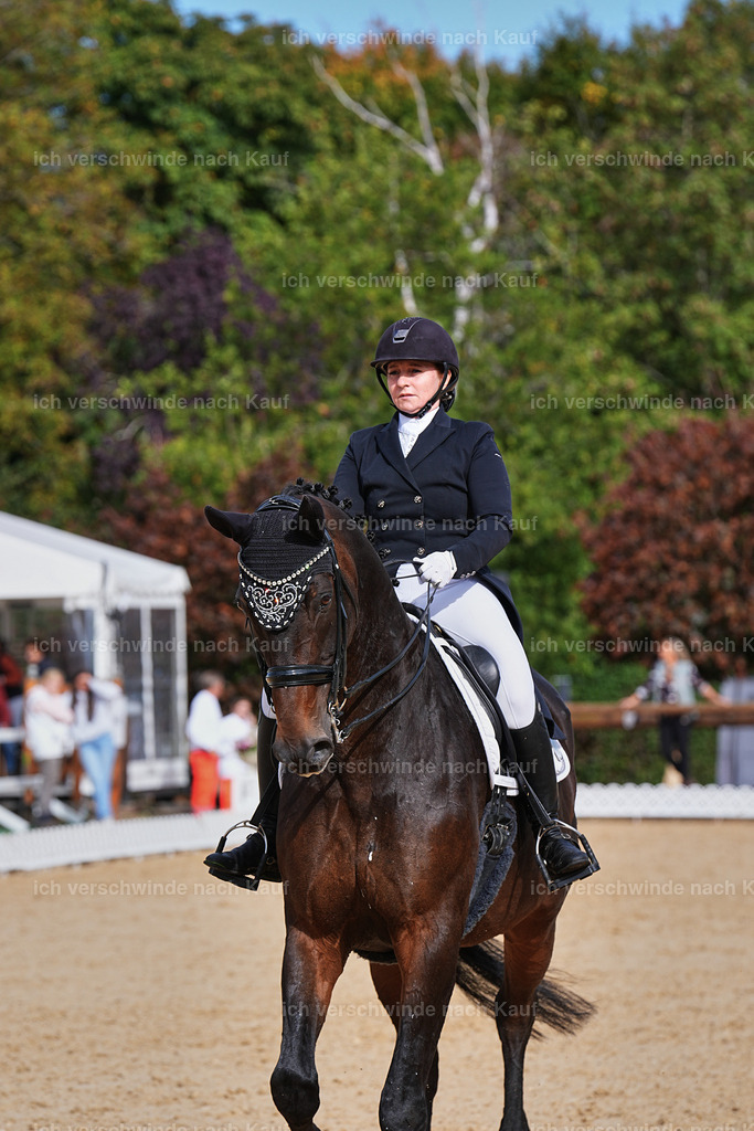 6-160-AMATUER-DRESSUR S_  -Marixx-3697 | working equitationturnier fotograf videograf stoibphotography marixx film working equitation deutschland reitsport turnierfotografie eventfotografie equestrian events