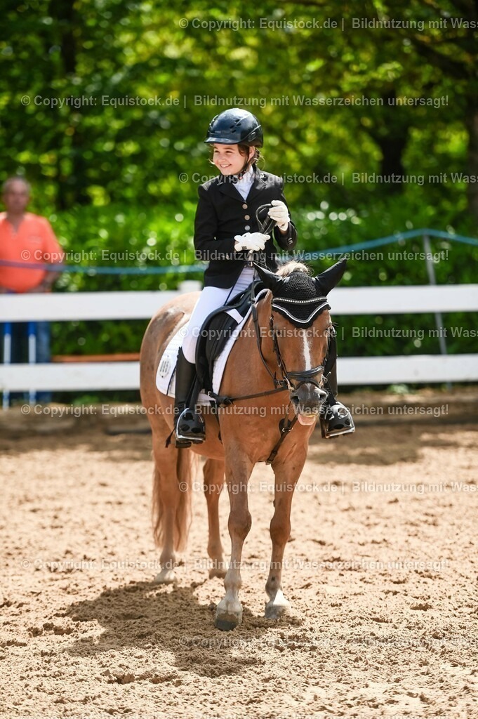 20230716_10-3_Reiter-WB Schritt - Trab - Galopp_0190 | equistock