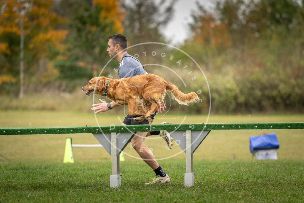 Pfotenfotografie_DV3A9937 | Hundefotografie, Tierfotograf, Pfotenfotografie, Fotoshooting Hund, Hunde Portrait, Hundesport, Hundeportraits, Heideshooting, Hunde, Sportfotograf, Hundefotograf, Turnierhundsport, THS,  - Realisiert mit Pictrs.com