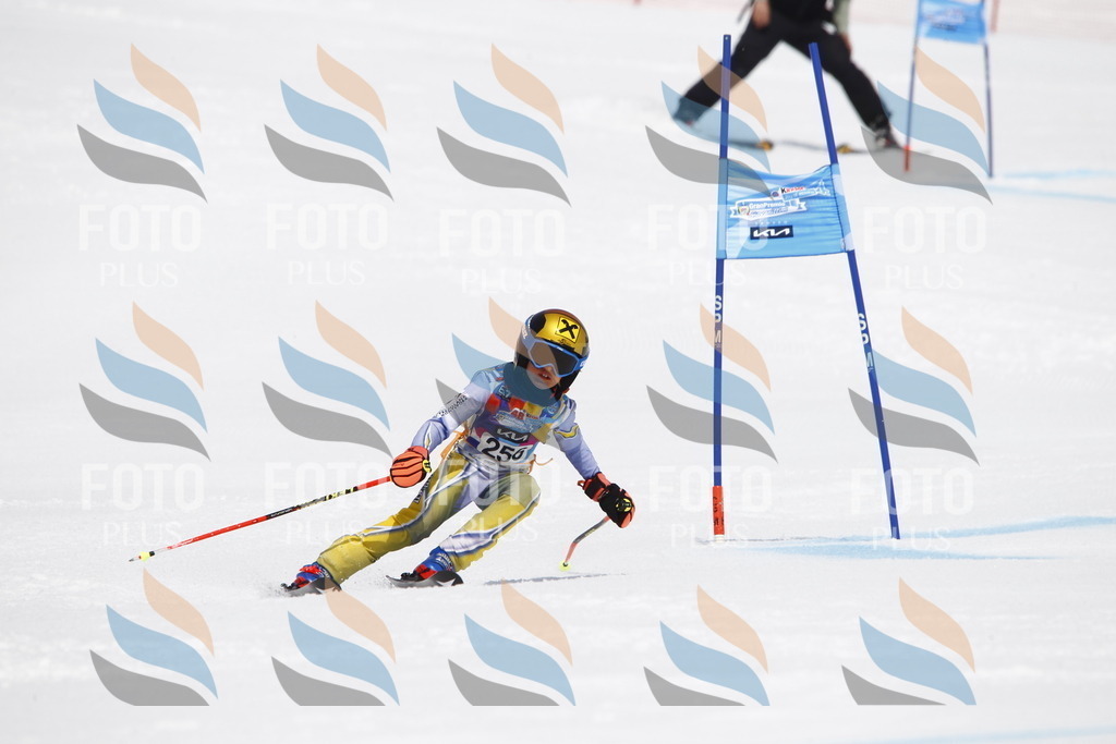 _U3G6429 | holidayphoto