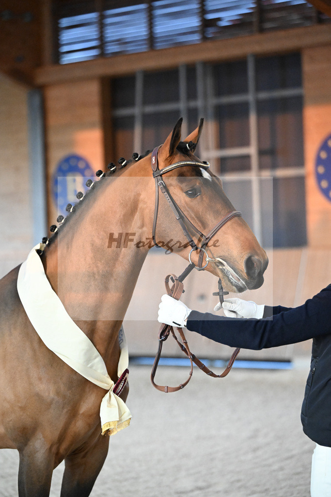 Chaplins Touch B_5250793 | hf-fotografie - Realisiert mit Pictrs.com