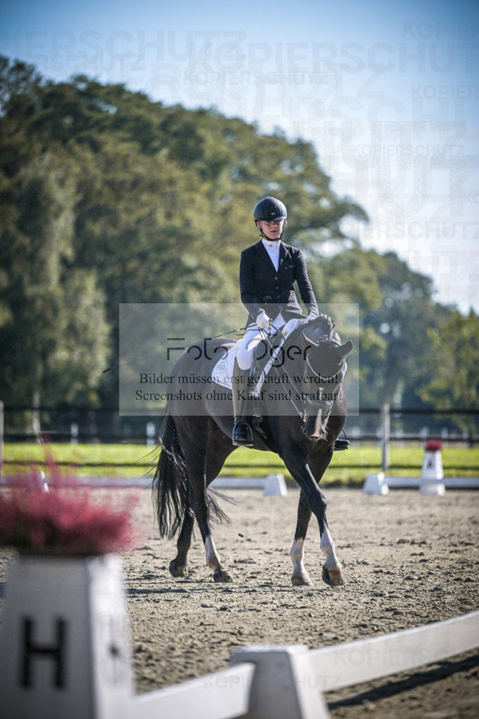 DOS_2432 | Entdecke hochwertige Reitturnierfotos von Foto Oger. Professionell, emotional und authentisch – jetzt Lieblingsmomente im Shop bestellen.Deutschlandweite Turnierfotografie. - Realisiert mit Pictrs.com