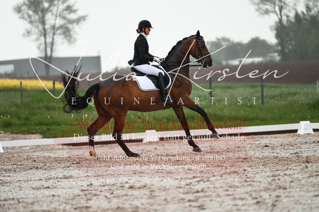 DSC_4588 | Pferde- und Turnierfotografie in Westsachsen. Pferdeportraits, Auftragszeichnungen und intuitive Kunst.