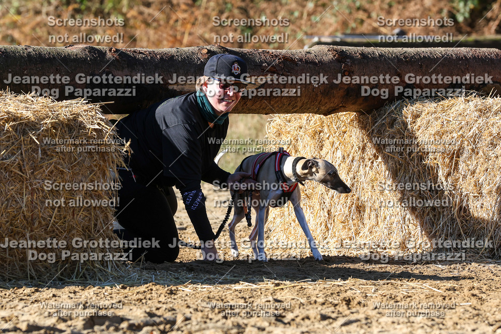 Dog Paparazzi - Strongdog 10-25-2333 | Dog Paparazzi Jeanette Grottendiek Fotografie & Videografie - Realisiert mit Pictrs.com