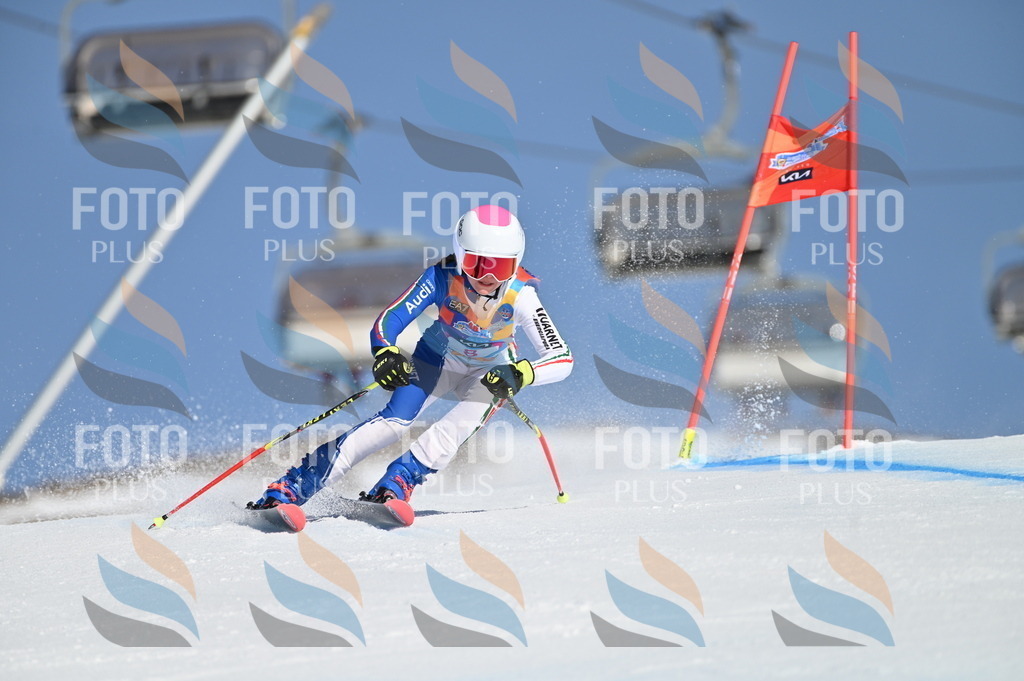 BGV_7704 | holidayphoto