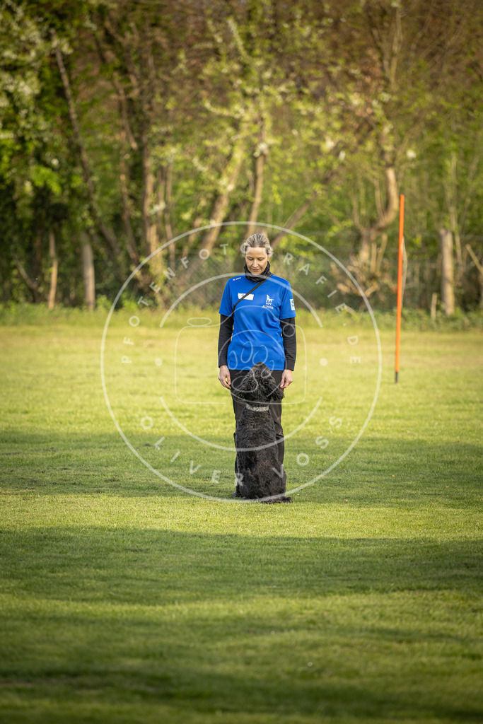 Pfotenfotografie_DV3A4800 | Hundefotografie, Tierfotograf, Pfotenfotografie, Fotoshooting Hund, Hunde Portrait, Hundesport, Hundeportraits, Heideshooting, Hunde, Sportfotograf, Hundefotograf, Turnierhundsport, THS,  - Realisiert mit Pictrs.com