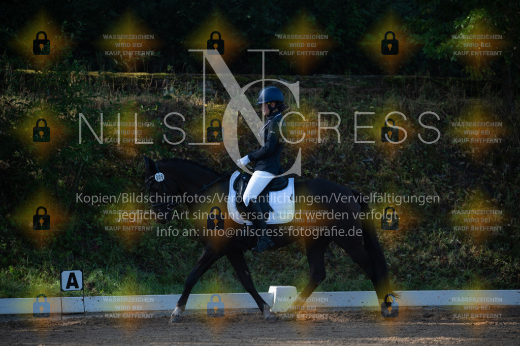DSC_7867 | Nils Cress - Fotografie - Realisiert mit Pictrs.com