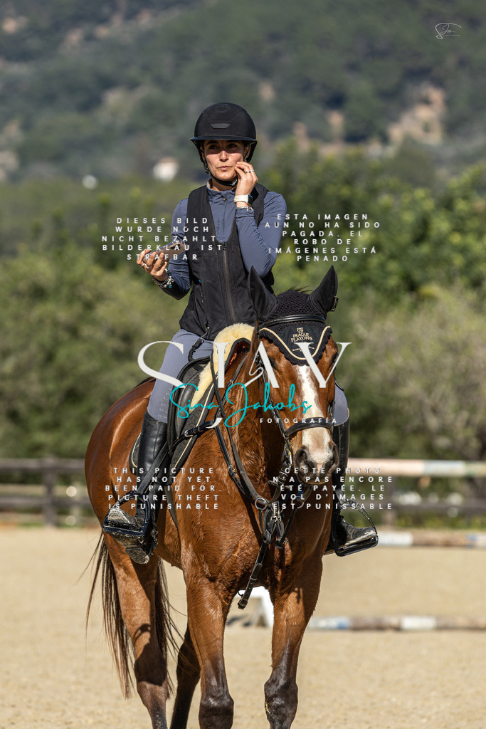 IMG_6953 | s-jay-photography - Realisiert mit Pictrs.com