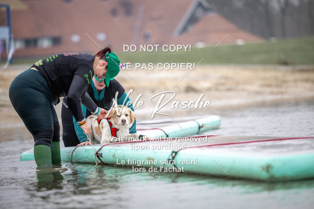 nelerasche_Hulsbeek_Sa0845-1030_502 | nelerasche