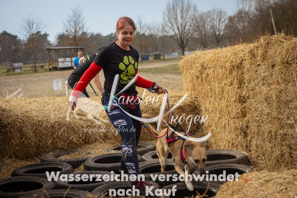 1133_ZZ94336 | kk-dogfotos