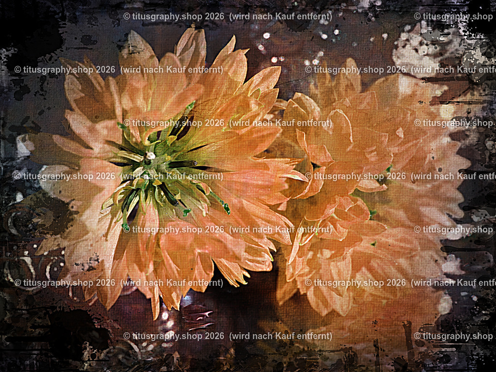 titusgraphy_P9231433_pe09-vz-ln | titusgraphy-shop: Geschenkideen mit Qualitätsfotos. titusgraphy-shop: gift ideas with quality photos. titusgraphy-shop: idées cadeaux avec photos de qualité.  - Realisiert mit Pictrs.com