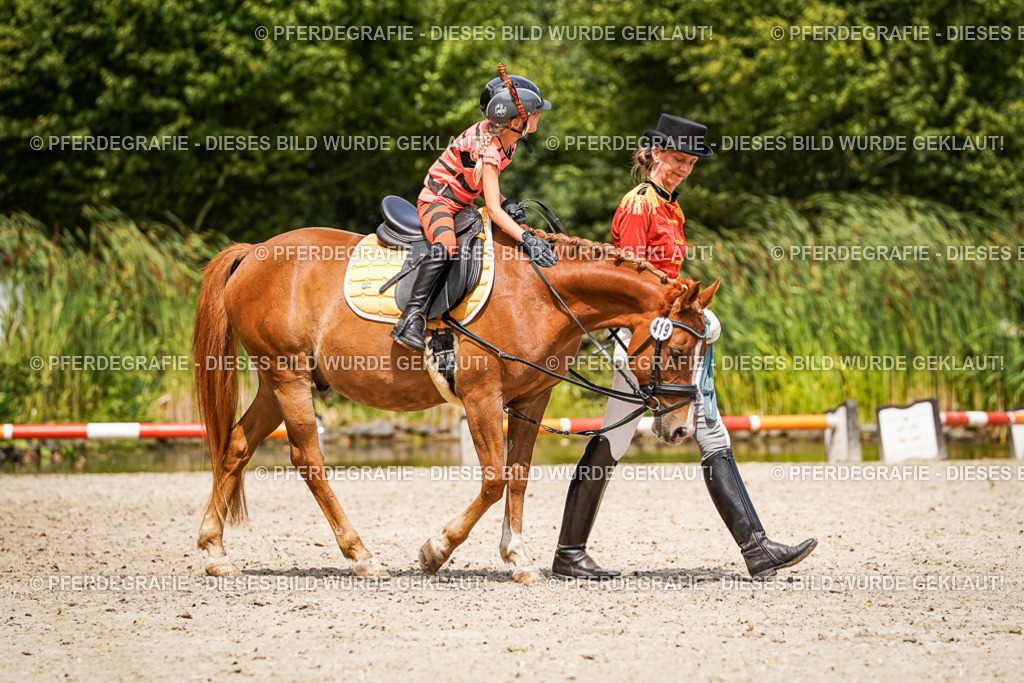 DSC03155 | Pferdegrafie