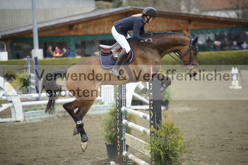 _DSC7176 | equestrian-live-com